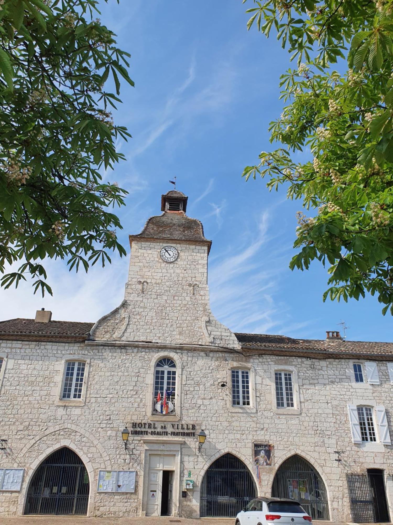 La Cour Saint Louis Castelnau-Montratier Exterior foto